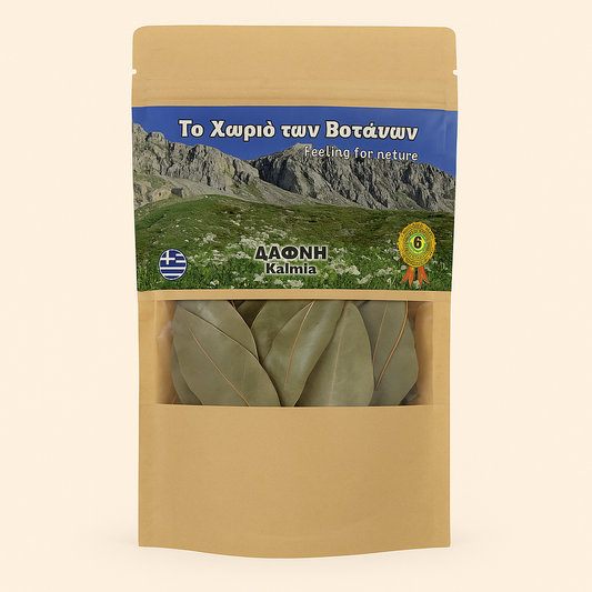 Bay Leaves Evia  (Kalmia)